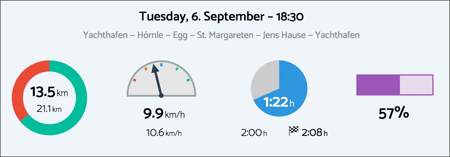 Dashboard showing a circle graph, a speedometer, a pie chart and a progress bar